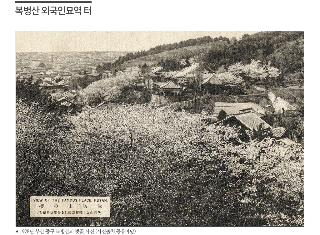 K2302_부산04_04.jpg