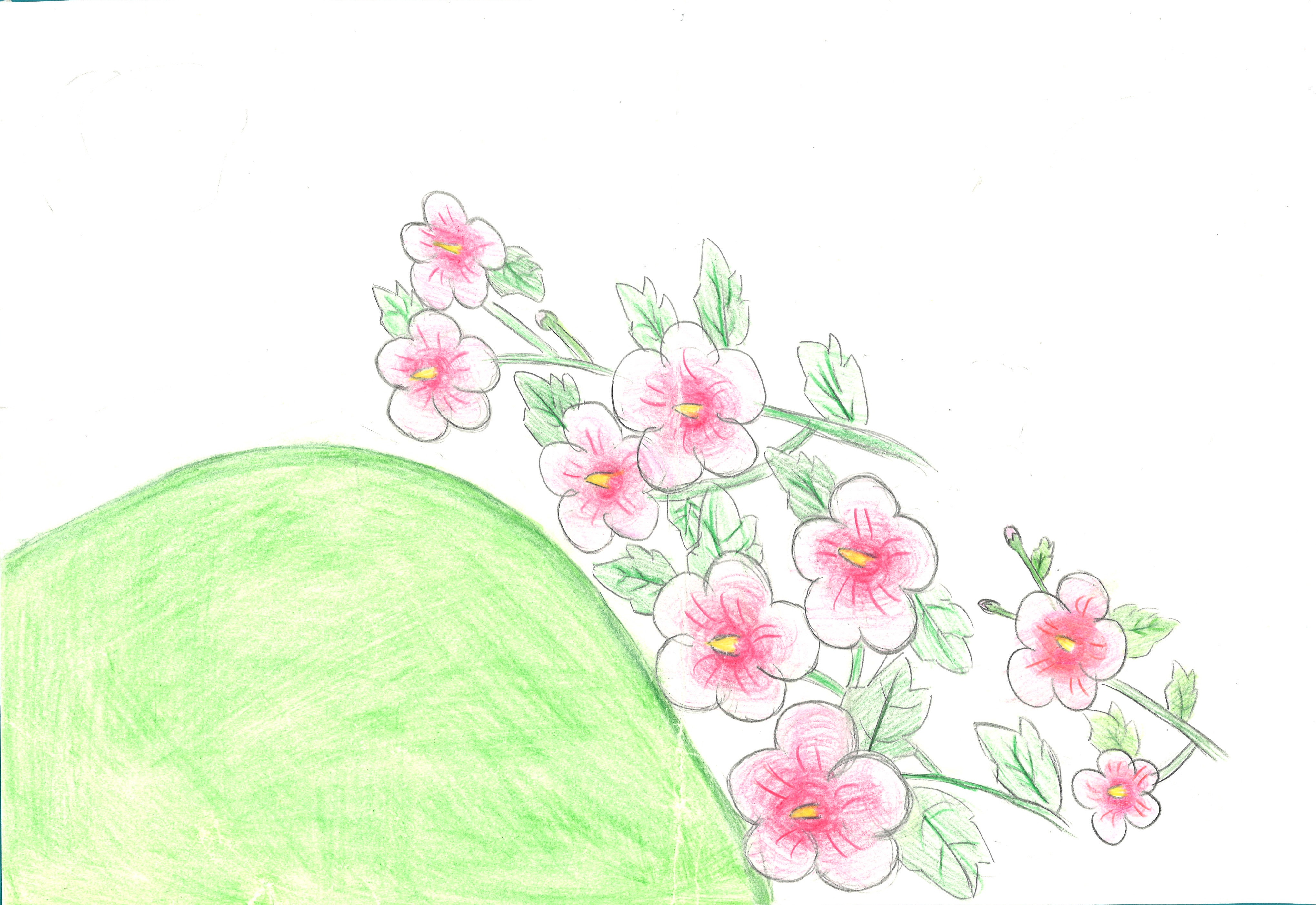 우리나라 국화 무궁화(이예진, 12세).jpg
