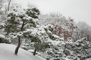  교회 설경
