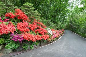  주일 교회 둘러보기