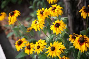  주일 교회 둘러보기