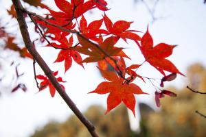  구역장 구속사 특별세미나 첫째날