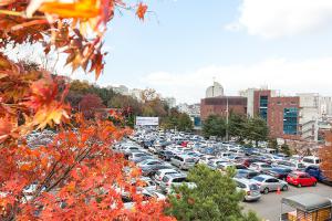  주일 교회둘러보기(추수감사절)