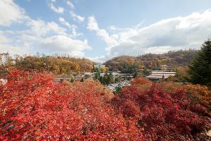  주일 교회둘러보기(추수감사절)