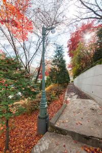  주일 교회둘러보기(추수감사절)