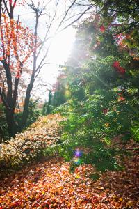  주일 교회둘러보기(추수감사절)