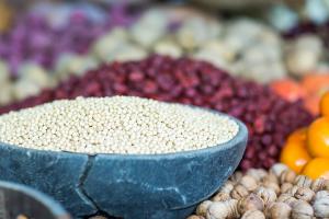  주일 교회둘러보기(추수감사절)