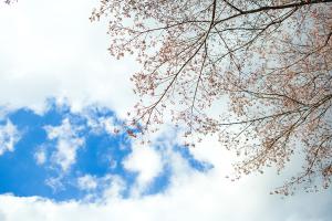  주일 교회둘러보기(추수감사절)