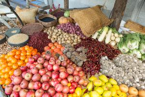  주일 교회둘러보기(추수감사절)