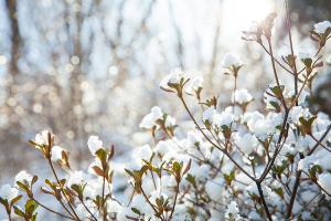  주일 교회 둘러보기