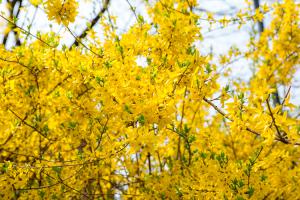  교회 둘러보기 (평강의 봄)