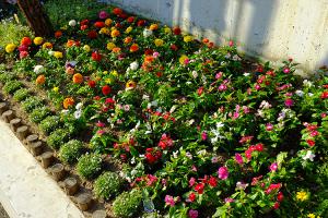  주일 교회 둘러보기