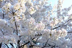  주일 교회 둘러보기