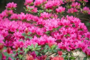  부활주일 교회 둘러보기