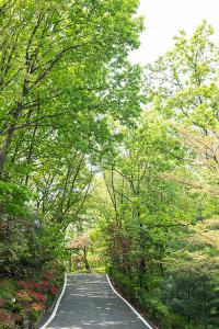  부활주일 교회 둘러보기