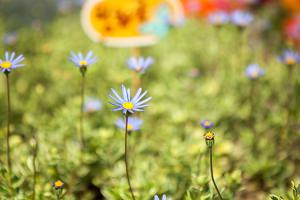  부활주일 교회 둘러보기