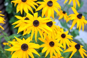  청년 토요 찬양집회