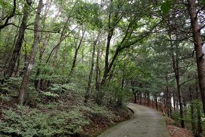  하계대성회 둘째날 오후