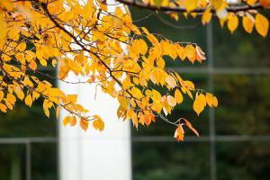  주일 교회 둘러보기