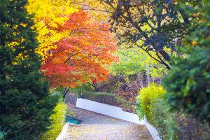  교회 둘러보기 (평강의 가을)