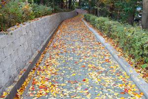  교회 둘러보기 (평강의 가을)