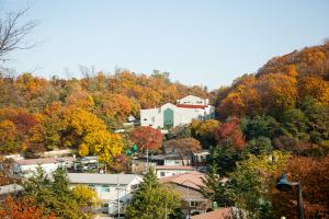  교회 둘러보기 (평강의 가을)