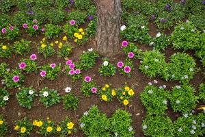  주일 교회 둘러보기(부활절)