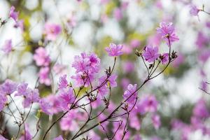  주일 교회 둘러보기