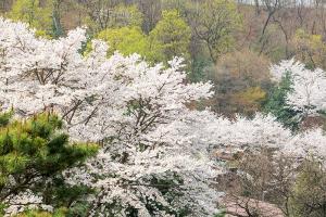  주일 교회 둘러보기