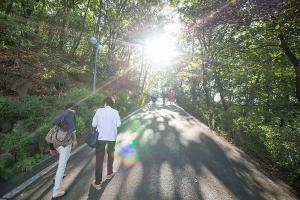  주일 교회 둘러보기