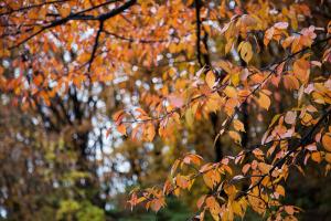  주일 교회 둘러보기