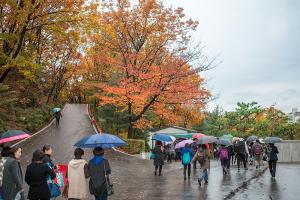  주일 교회 둘러보기