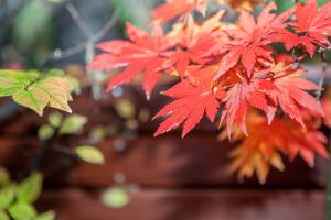  주일 교회 둘러보기