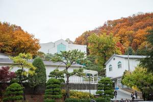  주일 교회 둘러보기