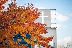  교회 둘러보기 (평강의 가을)