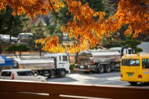  교회 둘러보기 (평강의 가을)