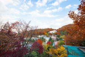  교회 둘러보기 (평강의 가을)