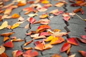  교회 둘러보기 (평강의 가을)