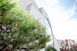  주일 교회 둘러보기