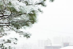  주일 교회 둘러보기