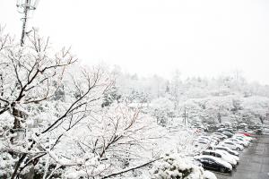  주일 교회 둘러보기