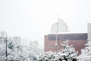  주일 교회 둘러보기
