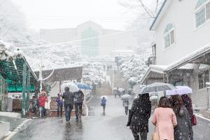  주일 교회 둘러보기