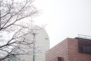  주일 교회 둘러보기