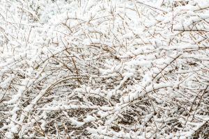  주일 교회 둘러보기
