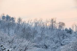  주일 교회 둘러보기