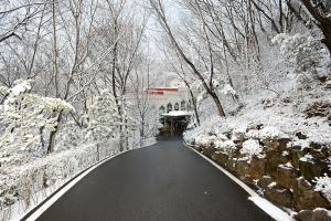  주일 교회 둘러보기