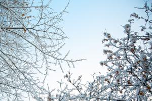  주일 교회 둘러보기