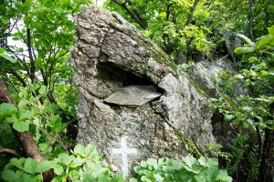  장안산 구국기도회