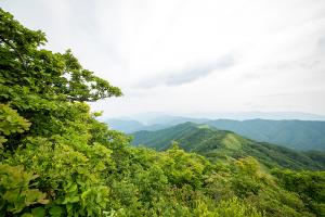  장안산 구국기도회